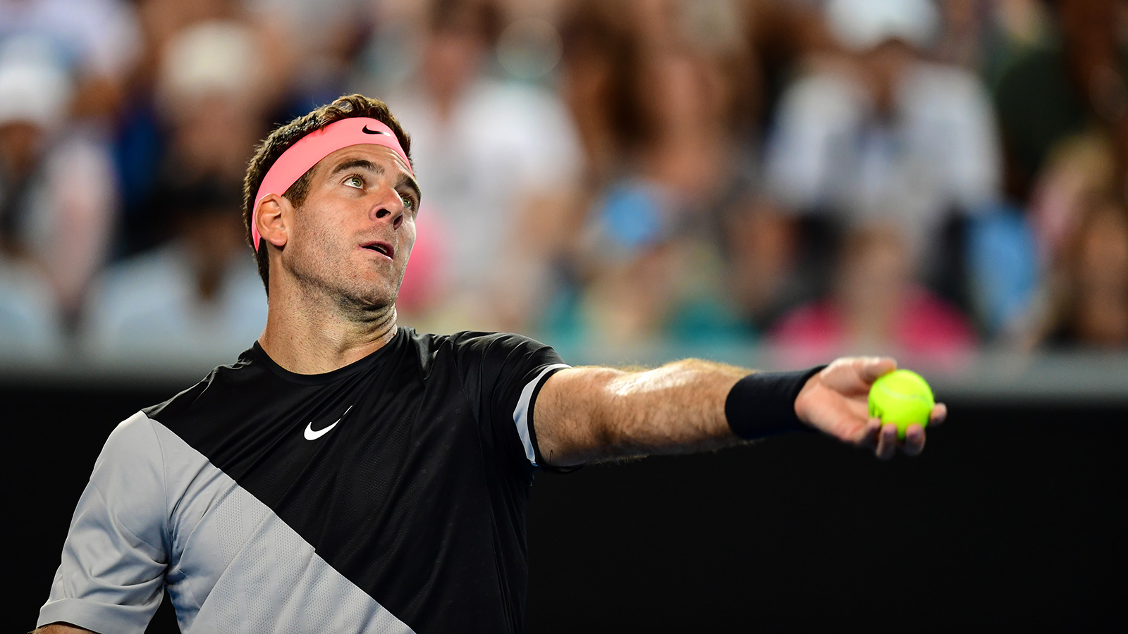 Juan Martin del Potro