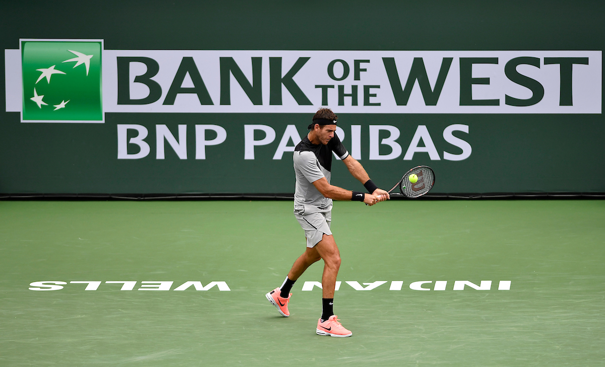 Juan Martin del Potro