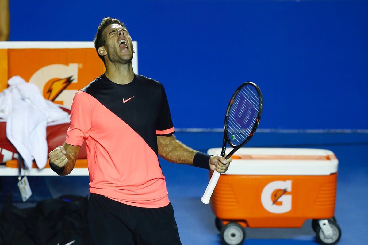 Juan Martin del Potro