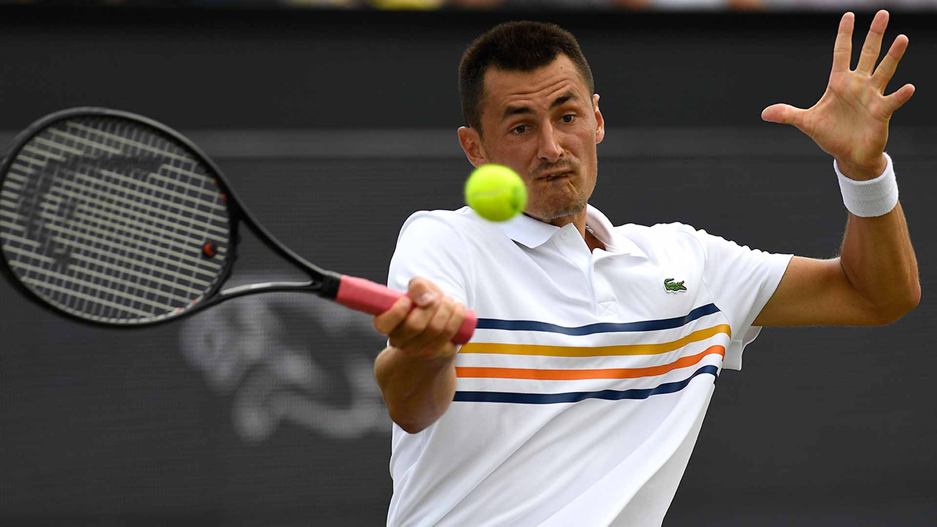 Bernard Tomic--