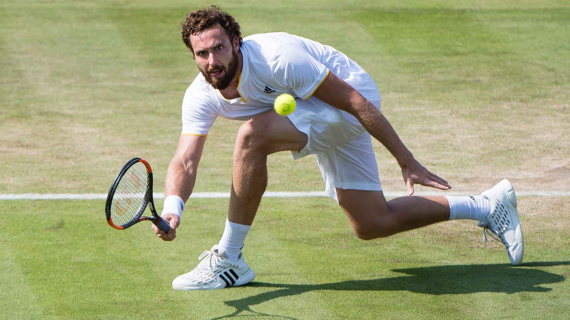 Gulbis .1