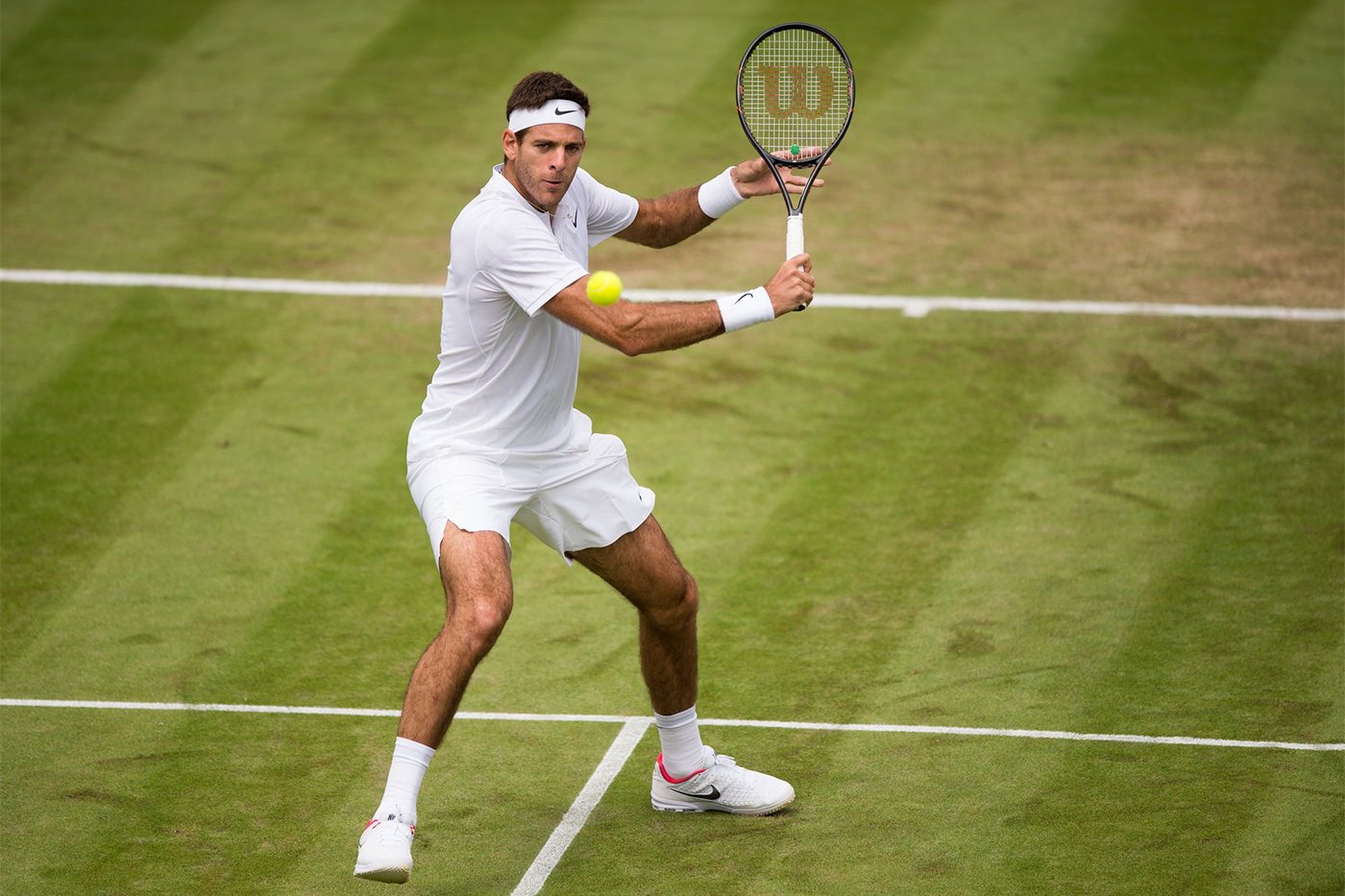 Juan Martín del Potro--