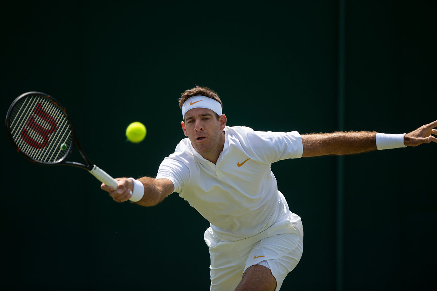 Juan Martín del Potro -W.