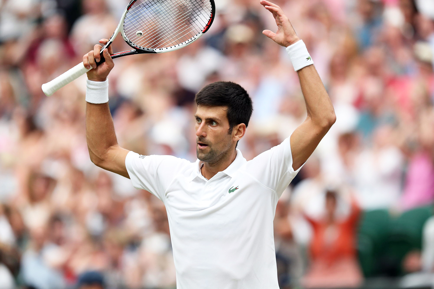 Novak Djokovic W1